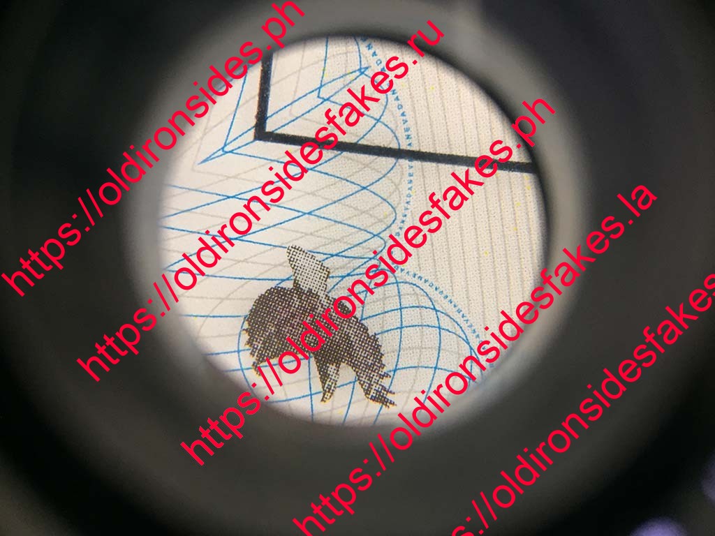 VZQUvQO2GAH5f8nkSHX00WgDqRYiYsCtMg569nUr-1